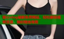 糖心vlog破解免费网站，轻松解锁视频资源，随时随地观看