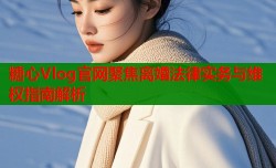 糖心Vlog官网聚焦离婚法律实务与维权指南解析