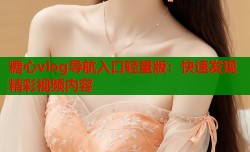 糖心vlog导航入口轻量版：快速发现精彩视频内容
