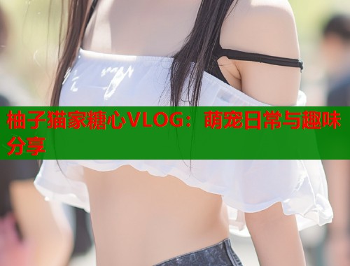 柚子猫家糖心VLOG：萌宠日常与趣味分享  第1张